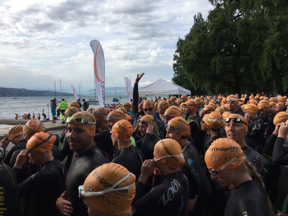gigathlon minions schwimmen zürichsee