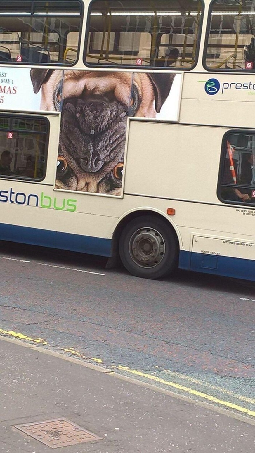 Lustige Fails: Werbung an Bus