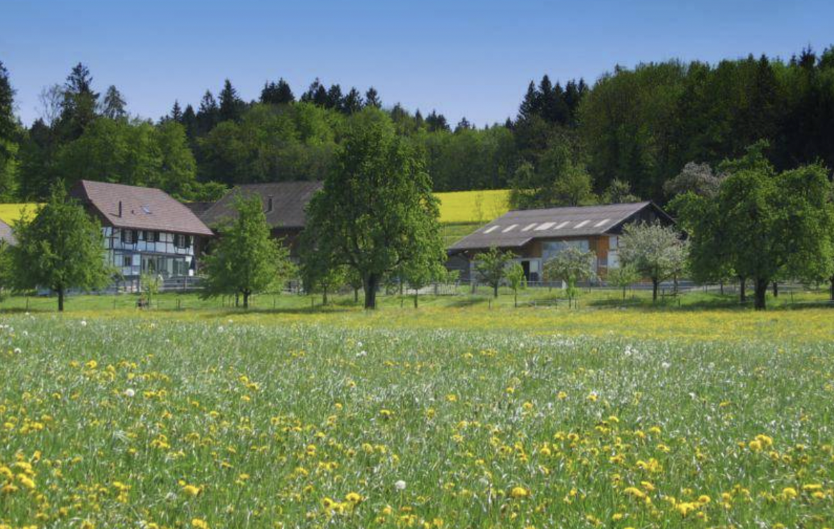 Rauszeit Ferien auf dem Bauernhof Schweiz Eschenz