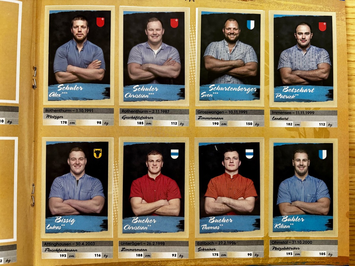 7 Punkte, die beim Schwinger-Panini-Album auffallen