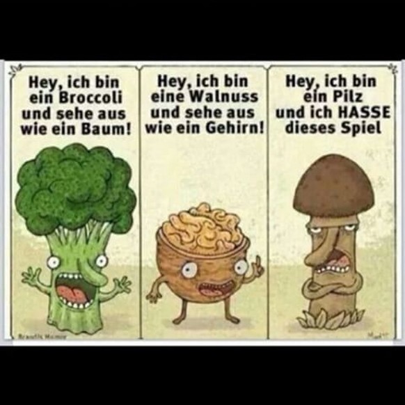 Von der «Zombie-Hand» zum «Stink-Pimmel»: Die ekligsten Pilze EVER
Klassiker!