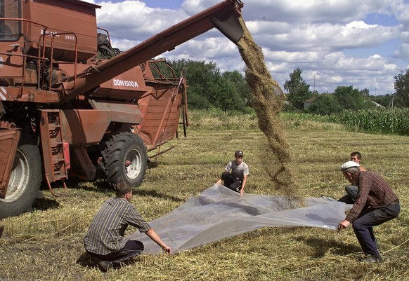 Ukrainian farmers gather the grain harvest in the northern Ukrainian village of Kysylivka, some 300 km (180 miles) from the capital Kiev, Friday, Aug. 22, 2003. According to agricultural experts the 2 ...