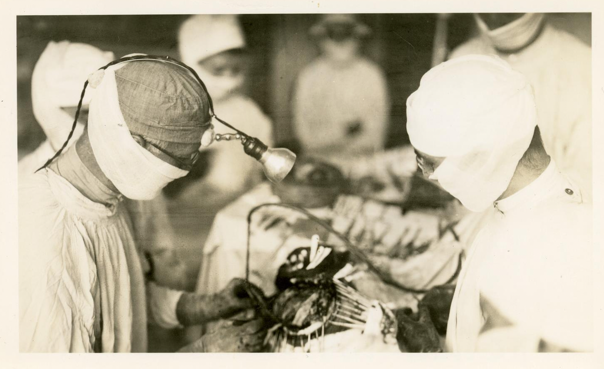 Dr. Crushing Brain Surgery

Yale University Library