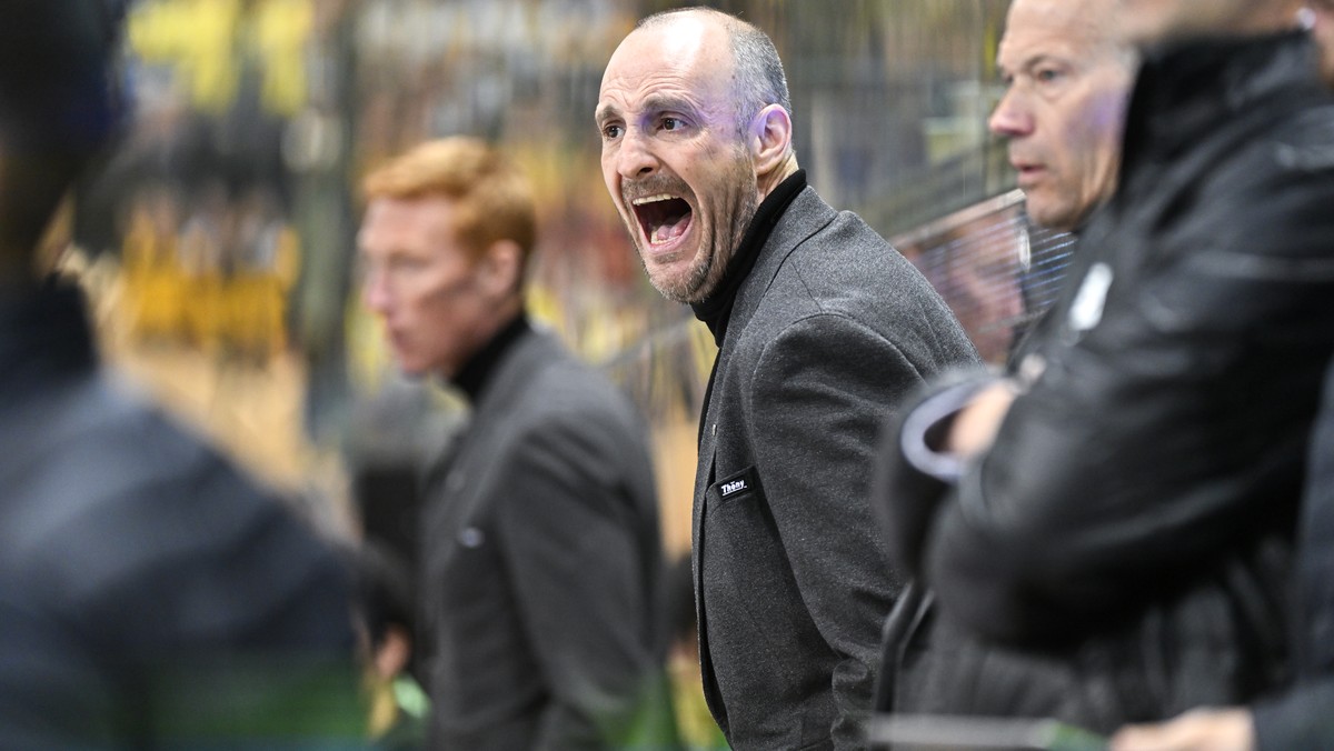 Der Davoser Head Coach Christian Wohlwend hinter der Bande beim Schreien, in Spiel 6 des Playoff 1/4 Final Eishockeyspiels der National League beim Eishockey Spiel der National League zwischen dem HC  ...
