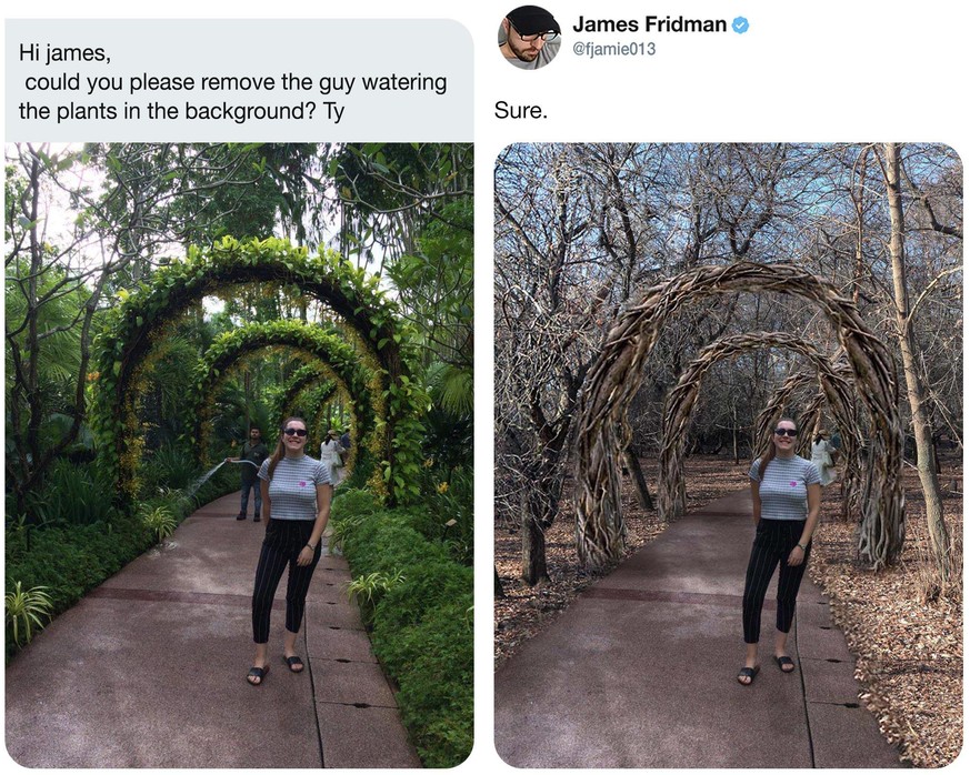 james fridman