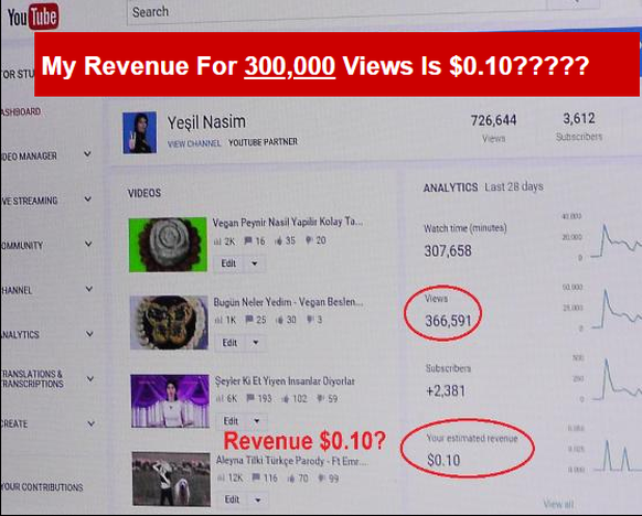 Aghdam ärgert sich über zu geringe Werbeeinnahmen auf YouTube.