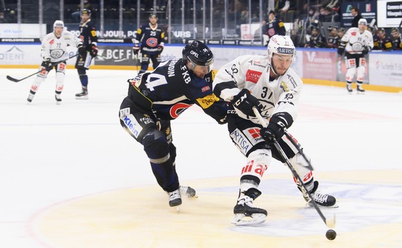 Gotterons Daniel Brodin, links, und Luganos Elia Riva, rechts, kaempfen um den Puck, beim Eishockey Meisterschaftsspiel der National League A zwischen den HC Fribourg Gotteron und dem HC Lugano, am Sa ...