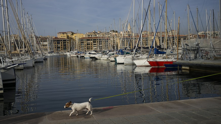 ‘Couldn’t take it anymore’ Mother kills 11-year-old son in Marseille with kitchen knife These are the richest heads of state and government