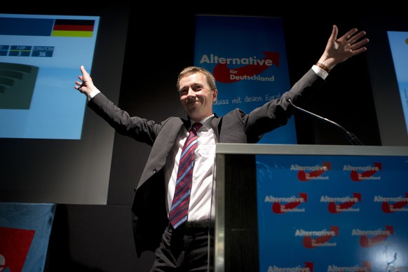 AfD leader and top-candidate of the Alternative fuer Deutschland party (alternative for Germany) Bernd Lucke celebrates after hearing first results of the Eurepean elections in Berlin, Germany, Sunday ...