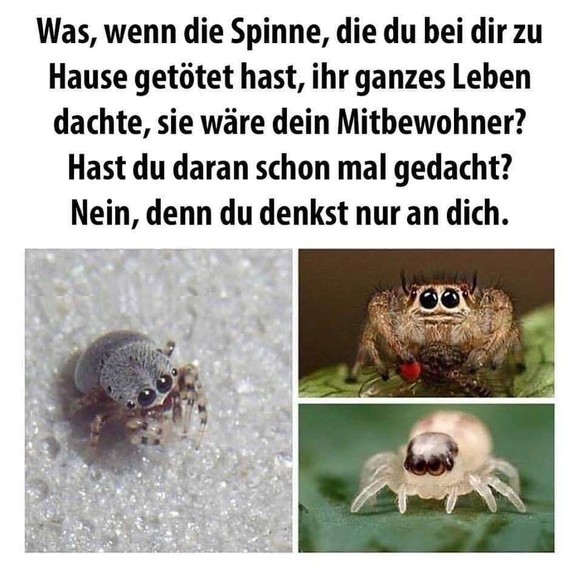 Willkommen zum 291. PICDUMP! 亞
･ｺ