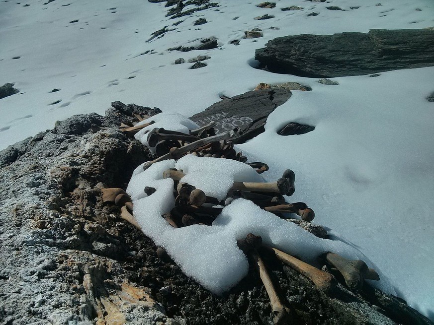 Skelttreste am Roopkund-See.
https://commons.wikimedia.org/wiki/File:Roopkund,_Trishul,_Himalayas-2.jpg