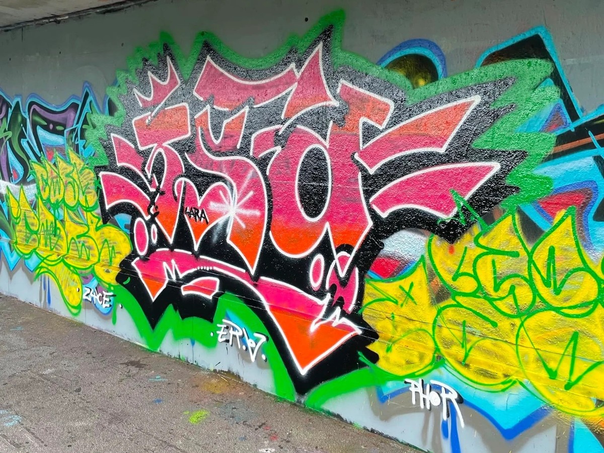 Tag Graffiti von Swiss Artist Künstler TSA Switzerland Schweiz

via schweizheute.ch