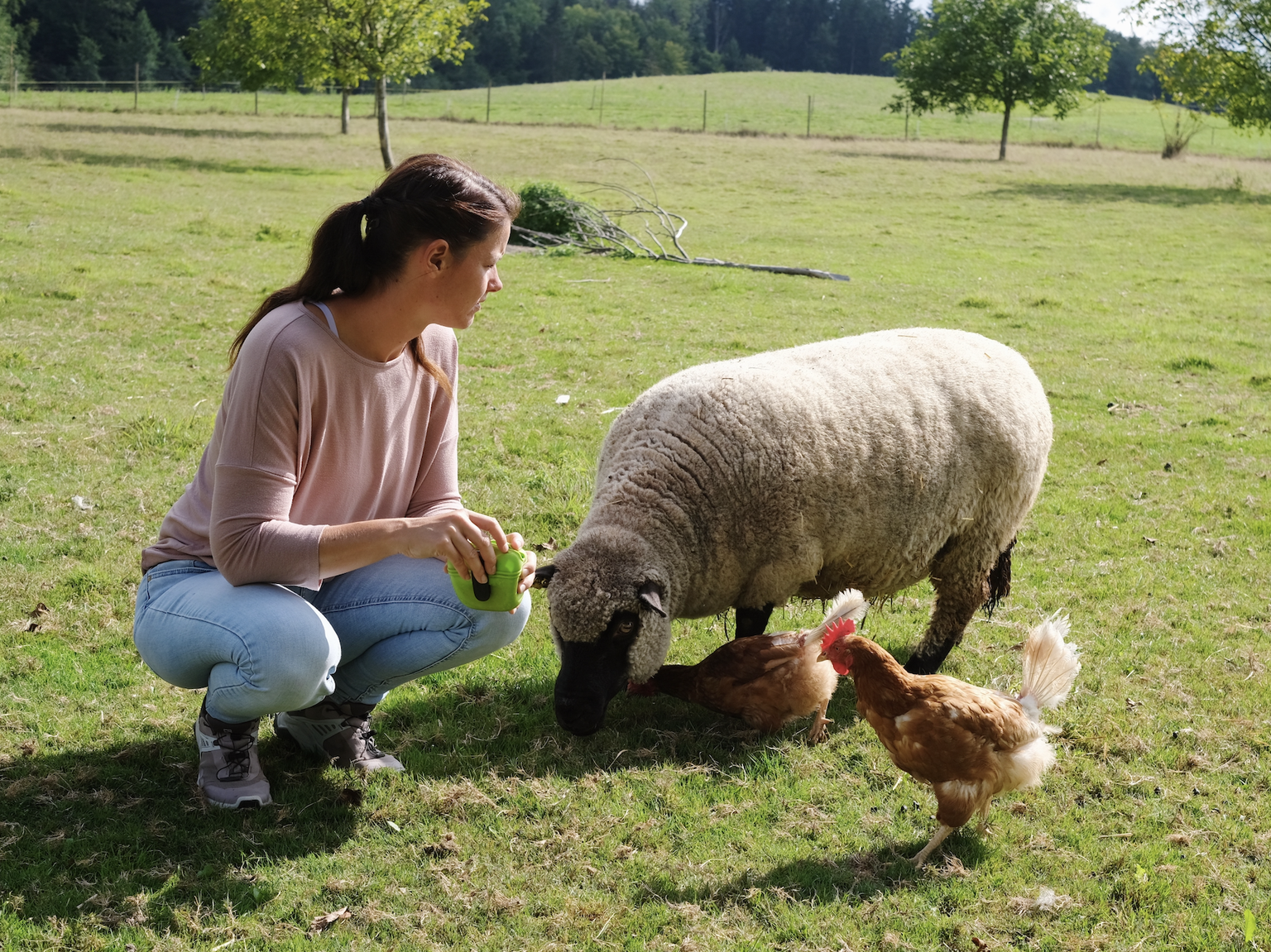 Massentierhaltung, Tierhaltung, Bauernhof, Lebenshof, Umstellung Landwirtschaft, Bio, Tierhaltung, Massentierhaltungsinitative