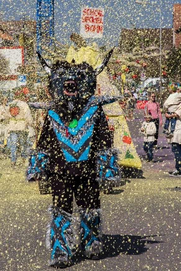 Groppenfasnacht Ermatingen