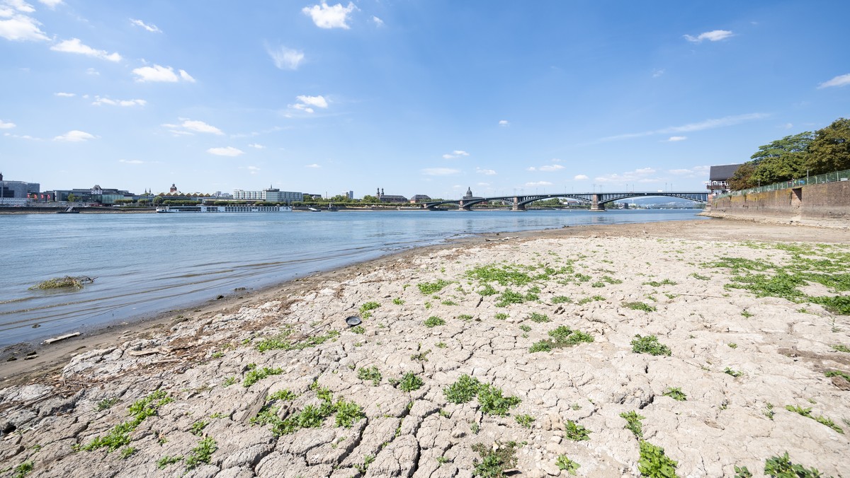 10.08.2022, Hessen, Mainz-Kastel: Blick vom ausgetrockneten Rheinufer auf Mainz. Durch geringen Niederschlag und anhaltend hohe Temperaturen ist der Wasserstand im Rhein stark gesunken. Foto: Hannes P ...