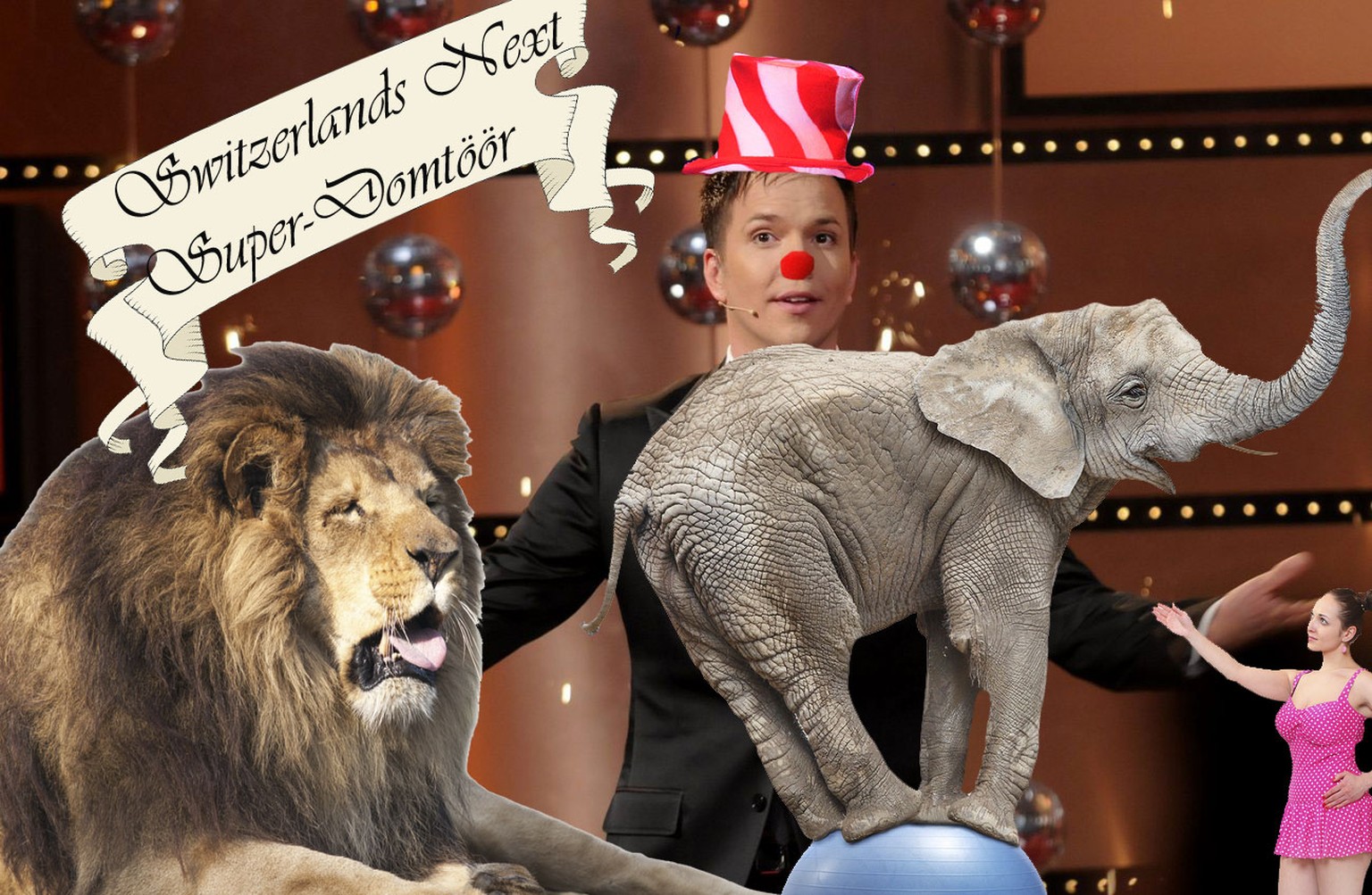 <strong>Die Casting-Regeln:</strong> Jeder, der glaubt, sein Hündli macht die besten Saltos oder seine Hauskatze erbricht die übelriechendsten Haarballen, ist in der neuen Show mit Sven Epiney willkommen! Klatschende Seelöwen sind ebenfalls mehr als erwünscht. Die werden bei Bedarf mit ins Publikum gesetzt. 