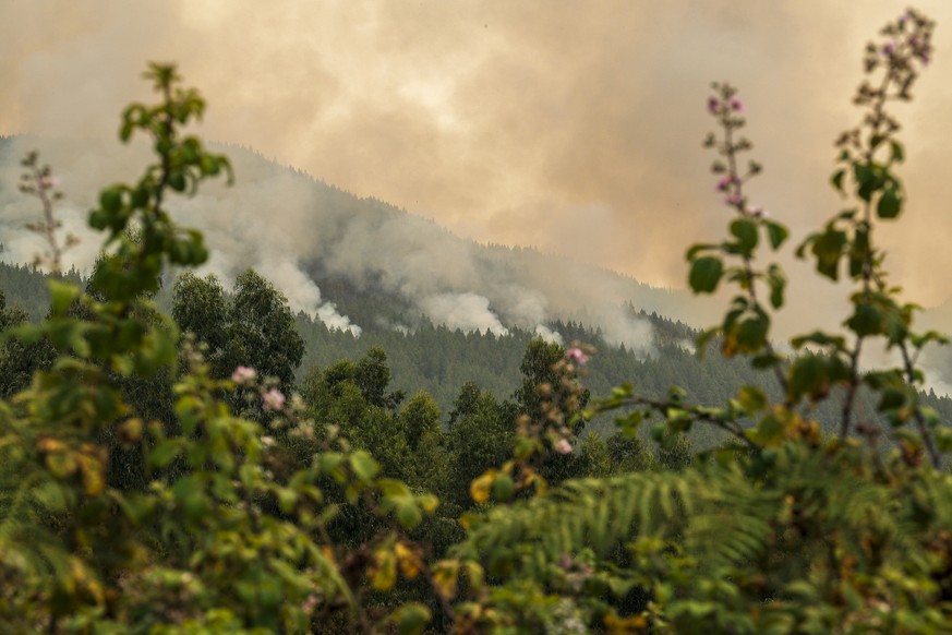 epa10806138 Columns of smoke rise from a forest fire affecting the La Victoria area that continues to burn land, in Tenerife, Canary islands, Spain, 18 August 2023. The fire, declared last 15 August 2 ...