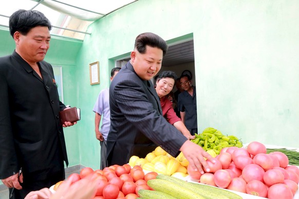 Hier scheint es an nichts zu fehlen: Machthaber Kim Jong-un beim Besuch einer Gemüsefarm bei Pjöngjang.