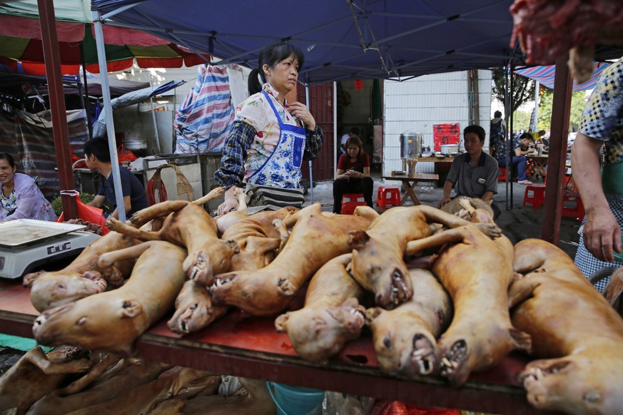 epa08338256 (FILE) - Dog meat for sale at a market during the Dog Meat Festival in Yulin city, Guangxi province, China, 21 June 2016 (reissued 02 April 2020). Authorities have banned the consumption o ...