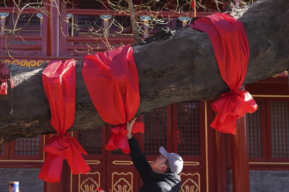 A man touches red ribbons wrapped on a tree at the Dongyue Temple ahead of Lunar New Year in Beijing on Tuesday Jan. 28, 2025. (AP Photo/Aaron Favila)