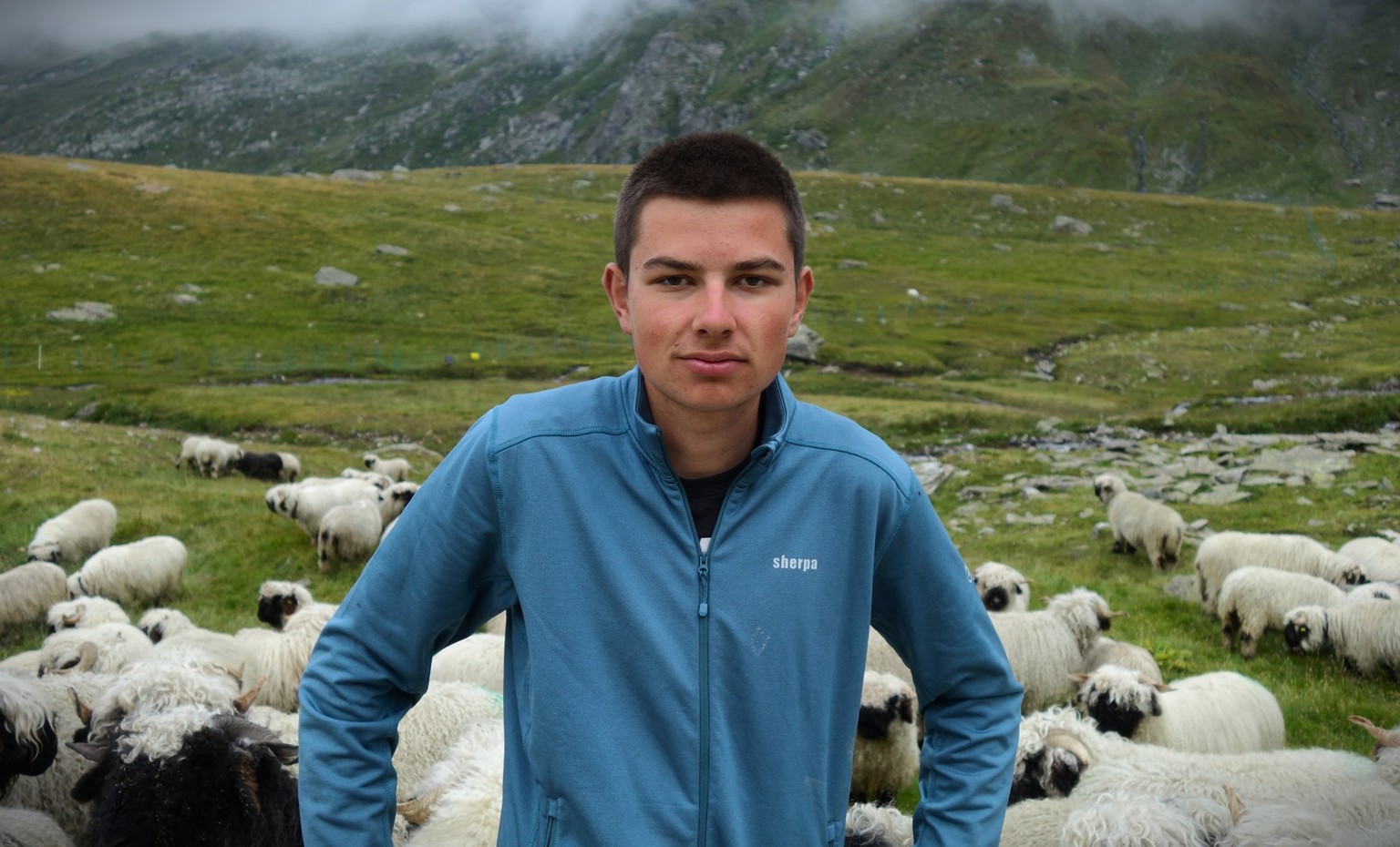 Reportage von der Alpe Nanztal im Kanton Wallis. Schäfer Oliver Gottsporn zeigt seine Schwarznasenschafe und erzählt, warum der Wolf ihm das Leben schwer macht.