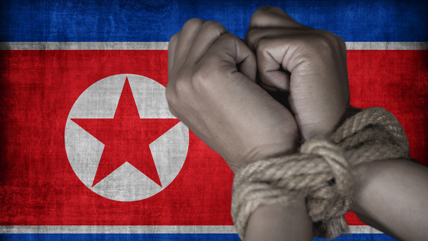 UN human rights agency criticizes North Korea for kidnappings