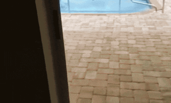 Animiertes GIF