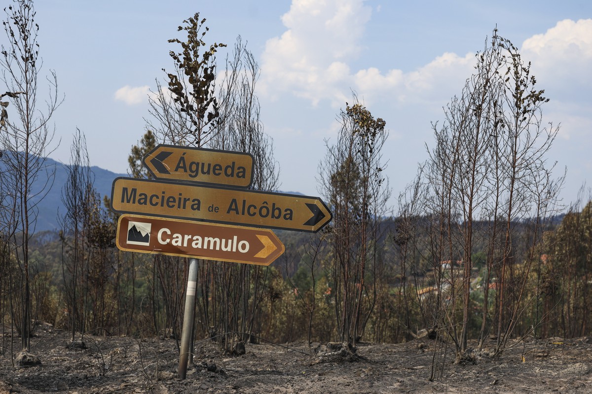 epa13089329 Burnt area with street signs in the aftermath of the Vouzela forest fire at Adside village, Vouzela, Portugal, 05 July 2026. The fire that broke out in Vouzela on 02 July has now been brou ...