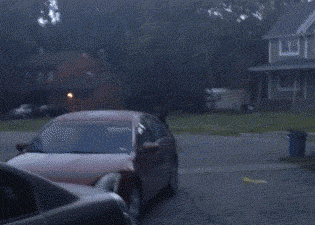 Die Lustigsten Bilder Und Gifs Aus Dem Internet In Einem Einzigen Beitrag Watson