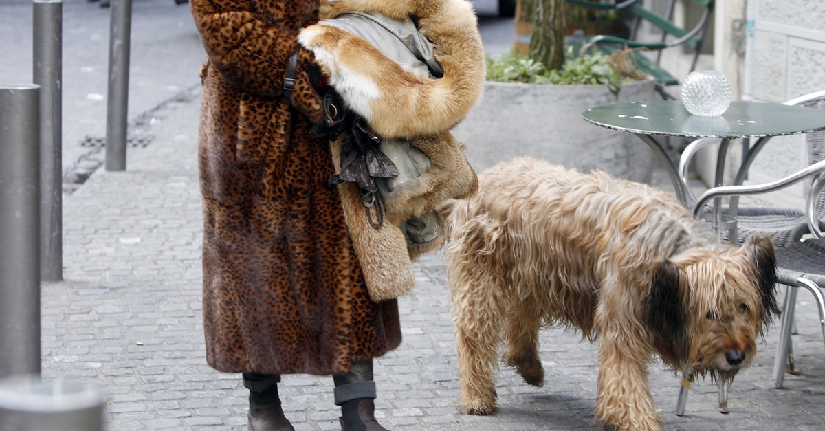 die-schweiz-will-den-import-von-pelz-versch-rfen-und-macht-sich-damit-m-chtige-feinde