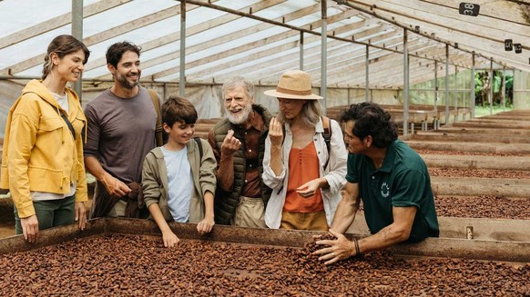 Nachhaltig nah dran: Einblick in die Kakaoproduktion auf der «Finca Amistad».