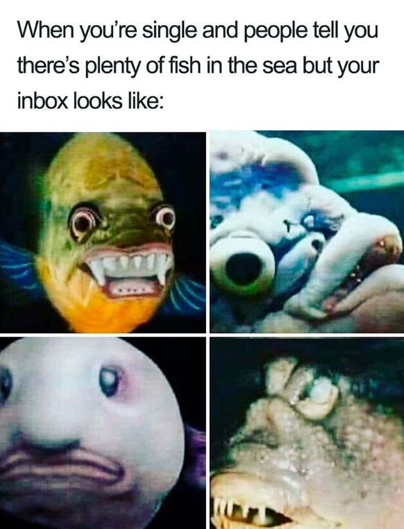 Lustige Single Memes