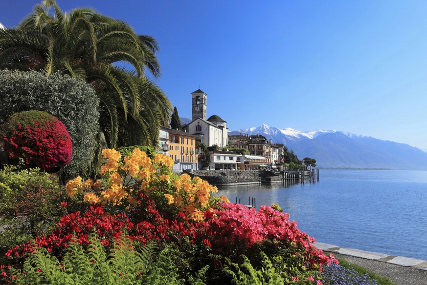 Brissago im Tessin


Photo by Christof Sonderegger