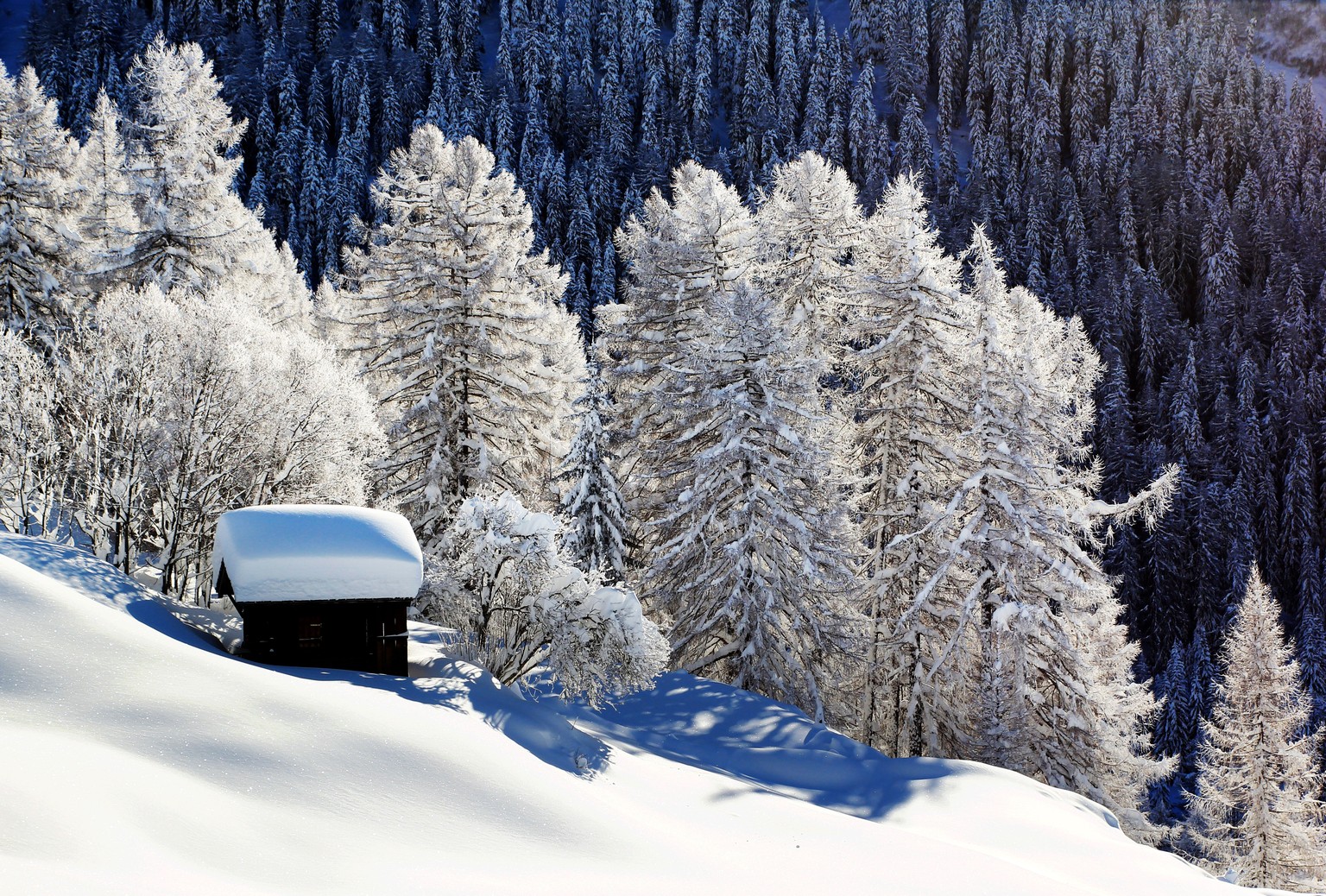 «Nachdem es einen Meter Neuschnee gab, lag das ganze Binntal unter einer weissen Decke», schreibt der Schweizer Jung-Fotograf Tobin Meyers zu seinem Foto.