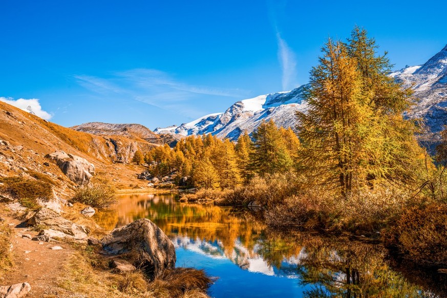 Herbst Rauszeit