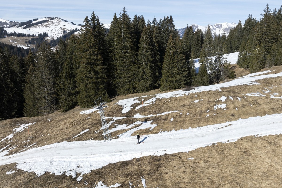 Skiers uses lift on a ski slope with snow in the middle of a snowless field, at 1450 meters above sea level, in the alpine resort of Les Mosses, in Ormont-Dessous, Switzerland, Tuesday, February 6, 20 ...