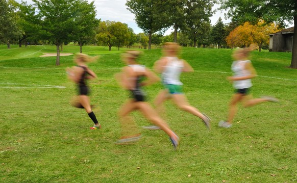 Wer rennt, lernt schneller, sagen portugiesische Forscher.