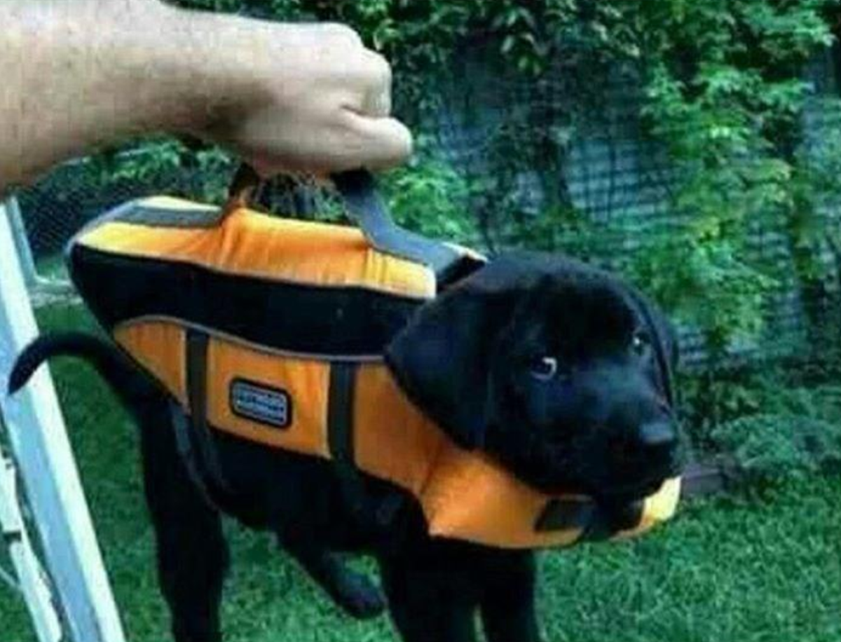 Labtoptasche