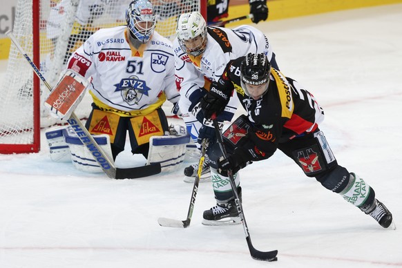 Berns Martin Pluess, vorne, im Kampf mit Zugs Tobias Geisser vor Zugs Torhueter Tobias Stephan, im Eishockey Meisterschaftsspiel der National League A zwischen dem SC Bern und dem EV Zug, am Freitag,  ...