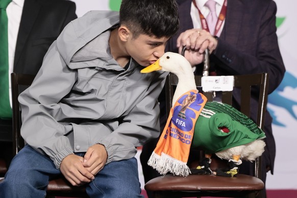 <p>Merin die Ente ging als tierischer Mexiko-Fan viral –&amp;nbsp;und erhält hier ein «Beso»</p>