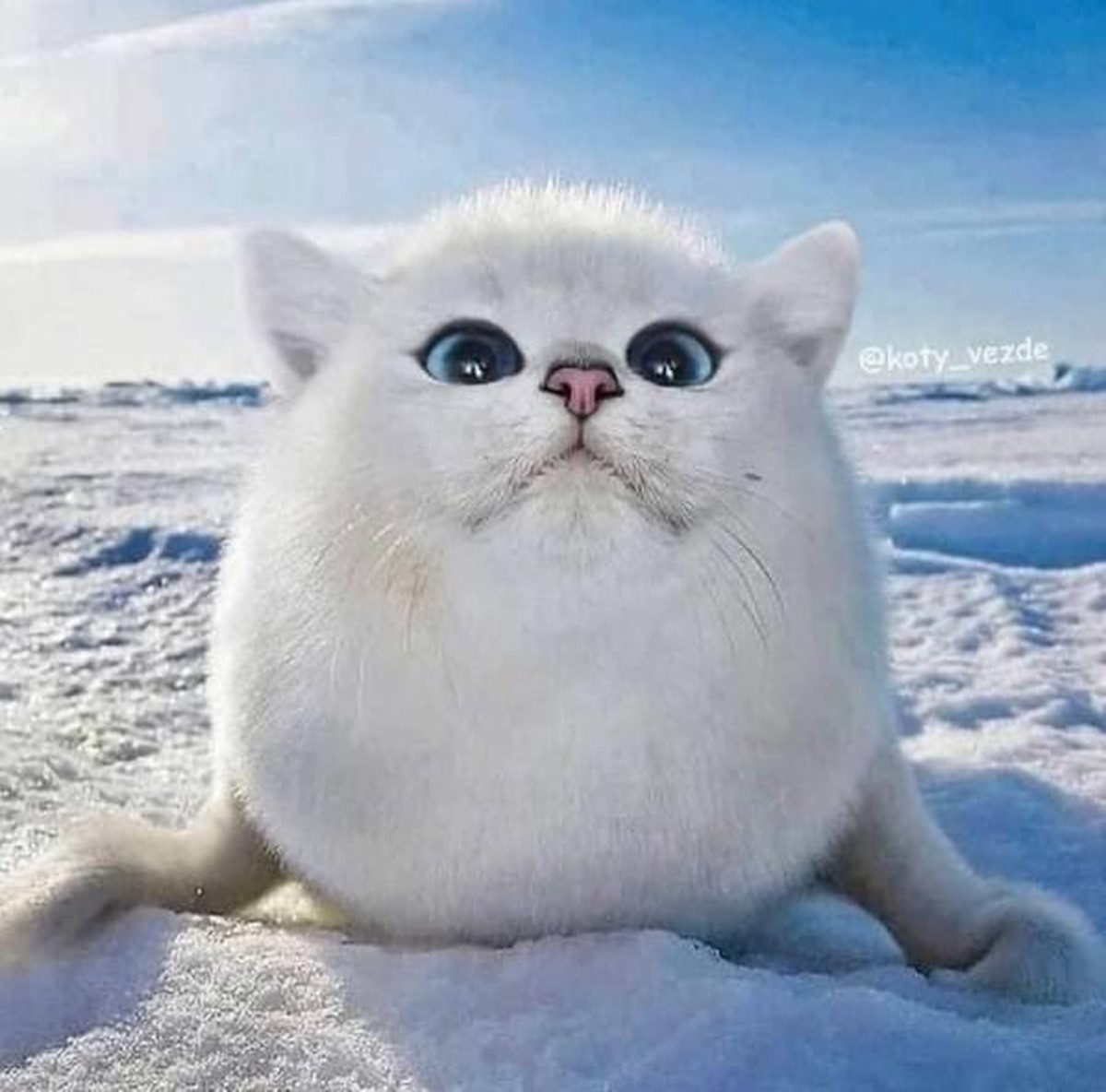 Photoshop-Tiere