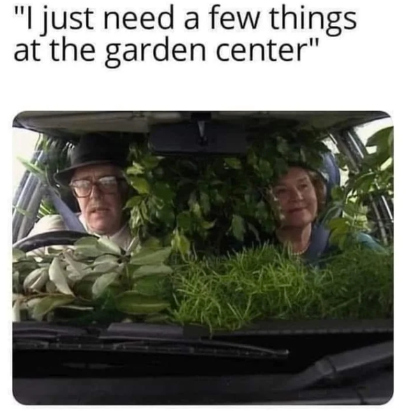 imgur