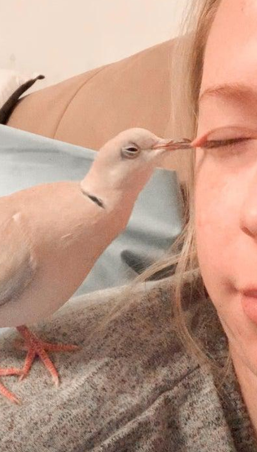Diese 27 lustigen Bilder und Gifs erinnern dich daran, wie es ist, zu lachen
