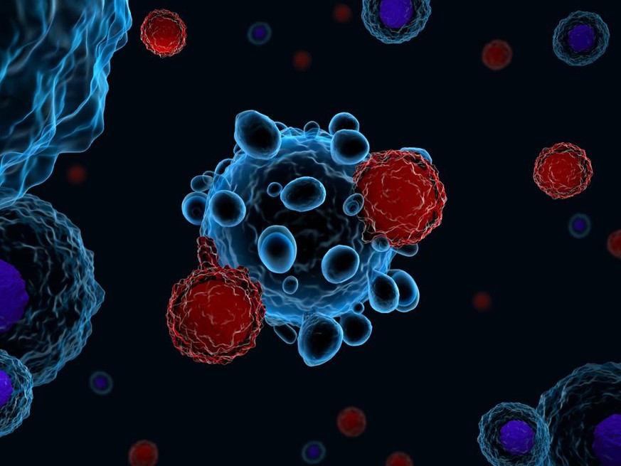 T-Zellen des Immunsystems, die Krebszellen angreifen