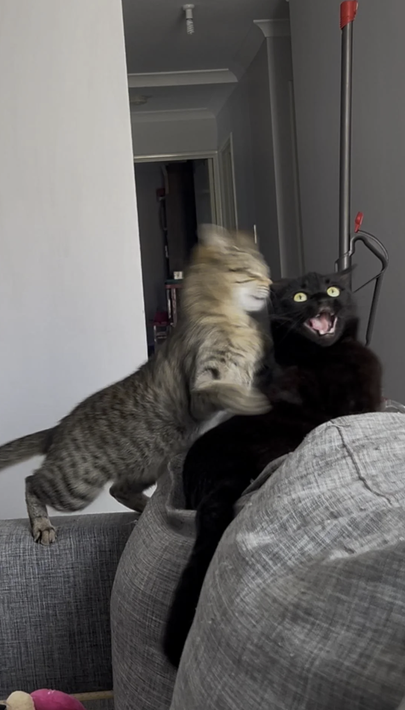 Die lustigsten Fails der Woche