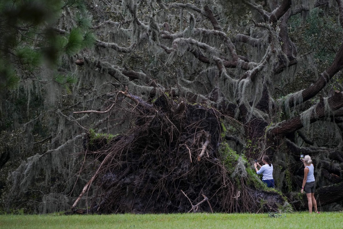 Women look at an uprooted tree the morning after Hurricane Milton hit the region, Thursday, Oct. 10, 2024, in Odessa, Fla. (AP Photo/Julio Cortez)