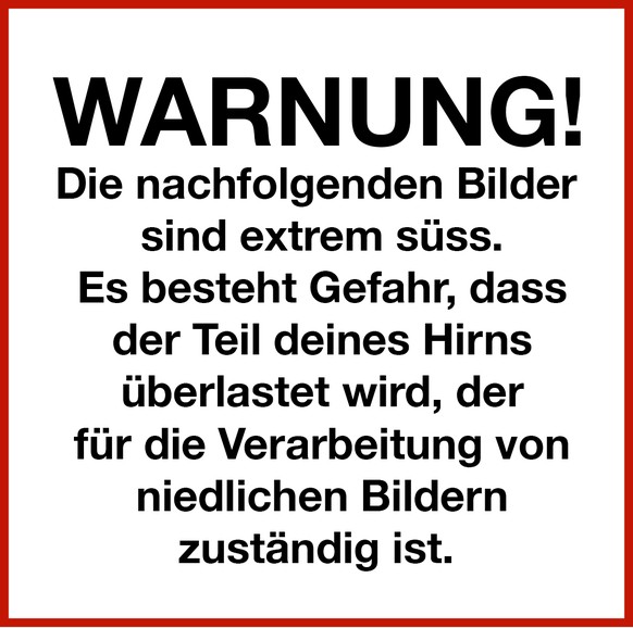 Warnung, Warnschild, zu niedlich