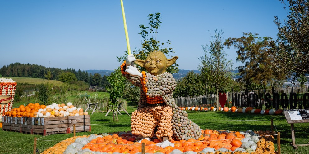 Der Kürbis-Yoda gehörte zu den Highlights der Ausstellung auf dem Juckerhof Seegräben.