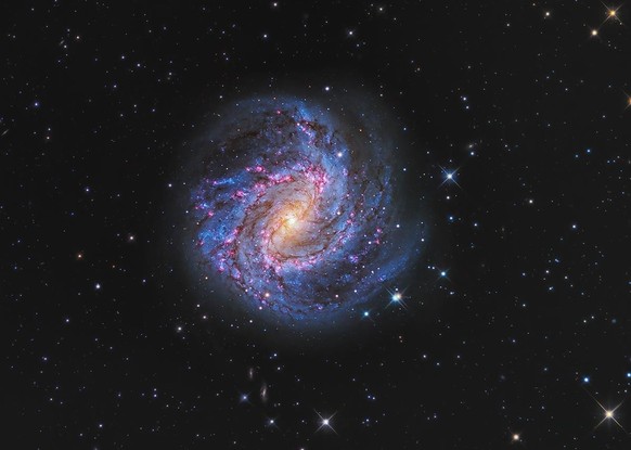 Die Nominierten für den Astronomy Photographer of the Year 2022. Hydra’s Pinwheel by Peter Ward – Astronomy Photographer of the Year 2022 – Galaxies.