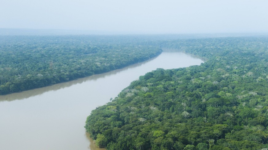 Regenwald rund um den Dzanga-Fluss, beim Besuch des Dzanga-Nationalparks im Dreilaendereck Kongo, Kamerun und Zentralafrikanische Republik in Bayanga, 13.03.2015. Bayanga Zentralafrikanische Republik  ...